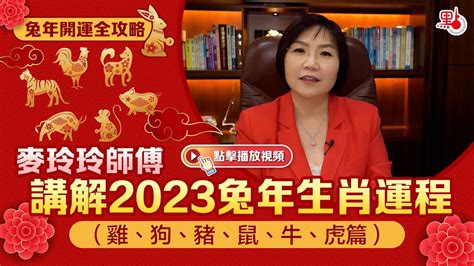 2023虎運勢|麥玲玲2023年生肖虎運程預測 水木相生穩定發展